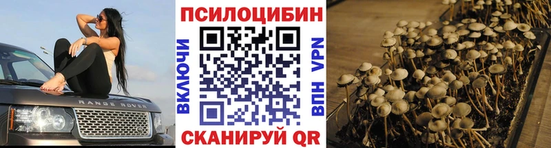 Галлюциногенные грибы Psilocybe  магазин  наркотиков  Чебоксары 